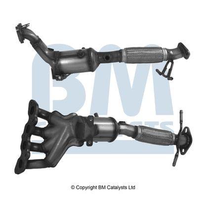 Catalysts bm91275h - catalysts,
